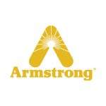 Armstrong 400X400 pix