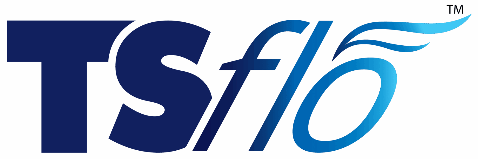 TS FLOW png